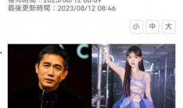 台湾媒体爆料梁朝伟视频,台湾媒体揭秘娱乐圈风云